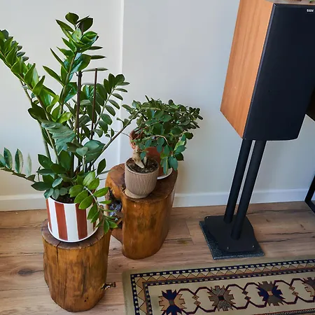 Sound House By Everkind