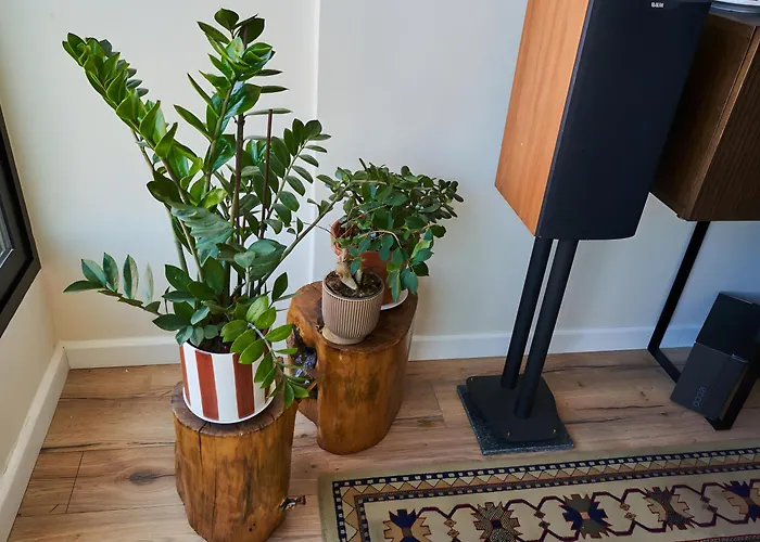 Sound House By Everkind